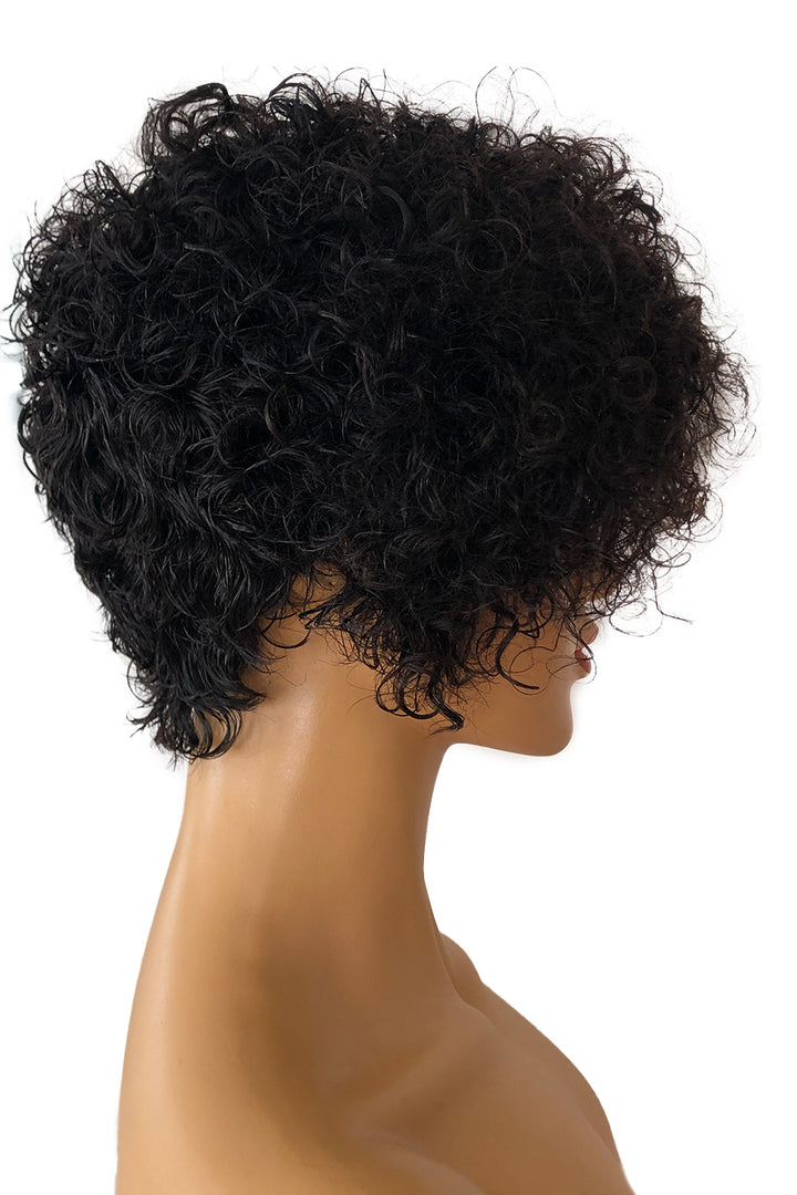 13*6 Fashion Cute Curly Pixie Bob-PB07