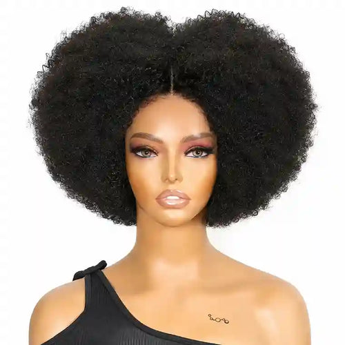 Kinky Curly Wigs For African American Human Hair Lace Front