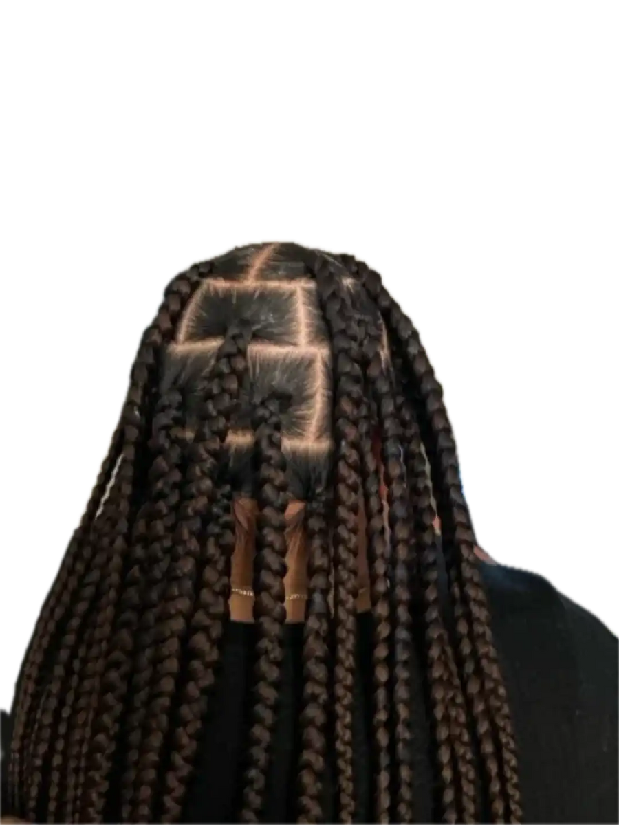 Person with braided hair on a white background