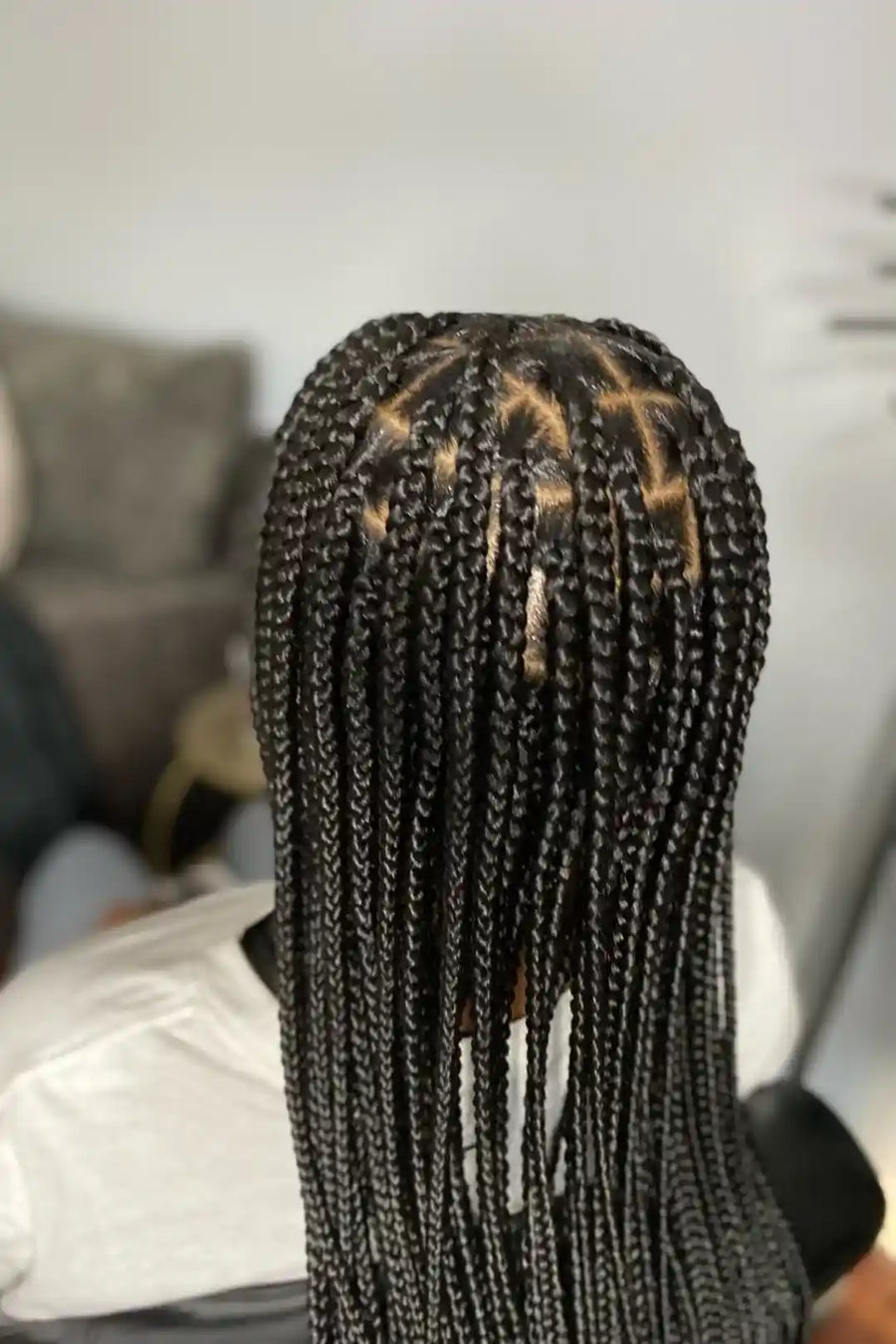 Box braids with gold accents on a neutral background