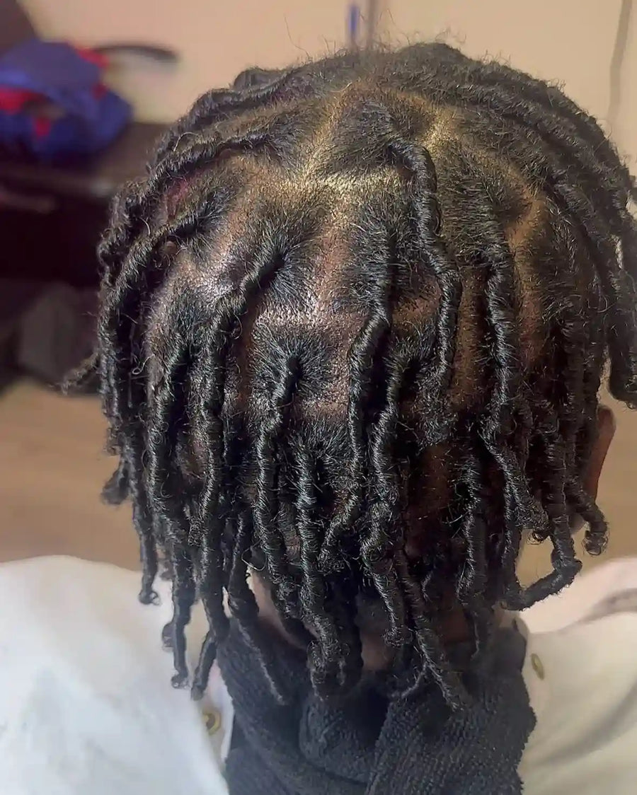 Short starter locs with medium square sections and a natural textured finish, hairstylist located in Fairview Heights, IL