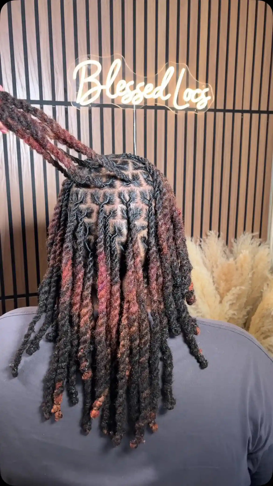 Medium-length black locs with burgundy highlights and neat square sections, Stylist located in Bowling Green, KY