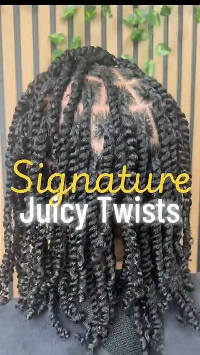 Juicy two-strand twists with clean parting, hairstylist in Greensboro, NC