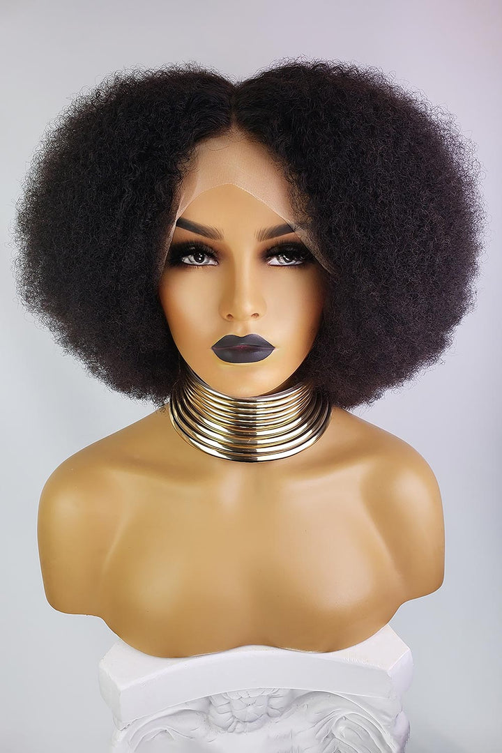 Designer Wigs-13*4 Lace Front Afro Kinky Curly 12 Inch