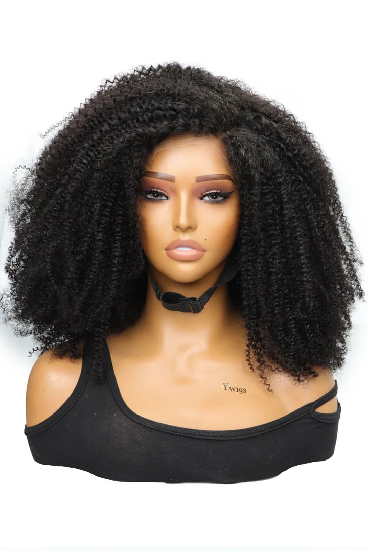 5x5 Glueless HD Lace Closure Afro Wig Kinky Curly 4C Hair 22 inch-1